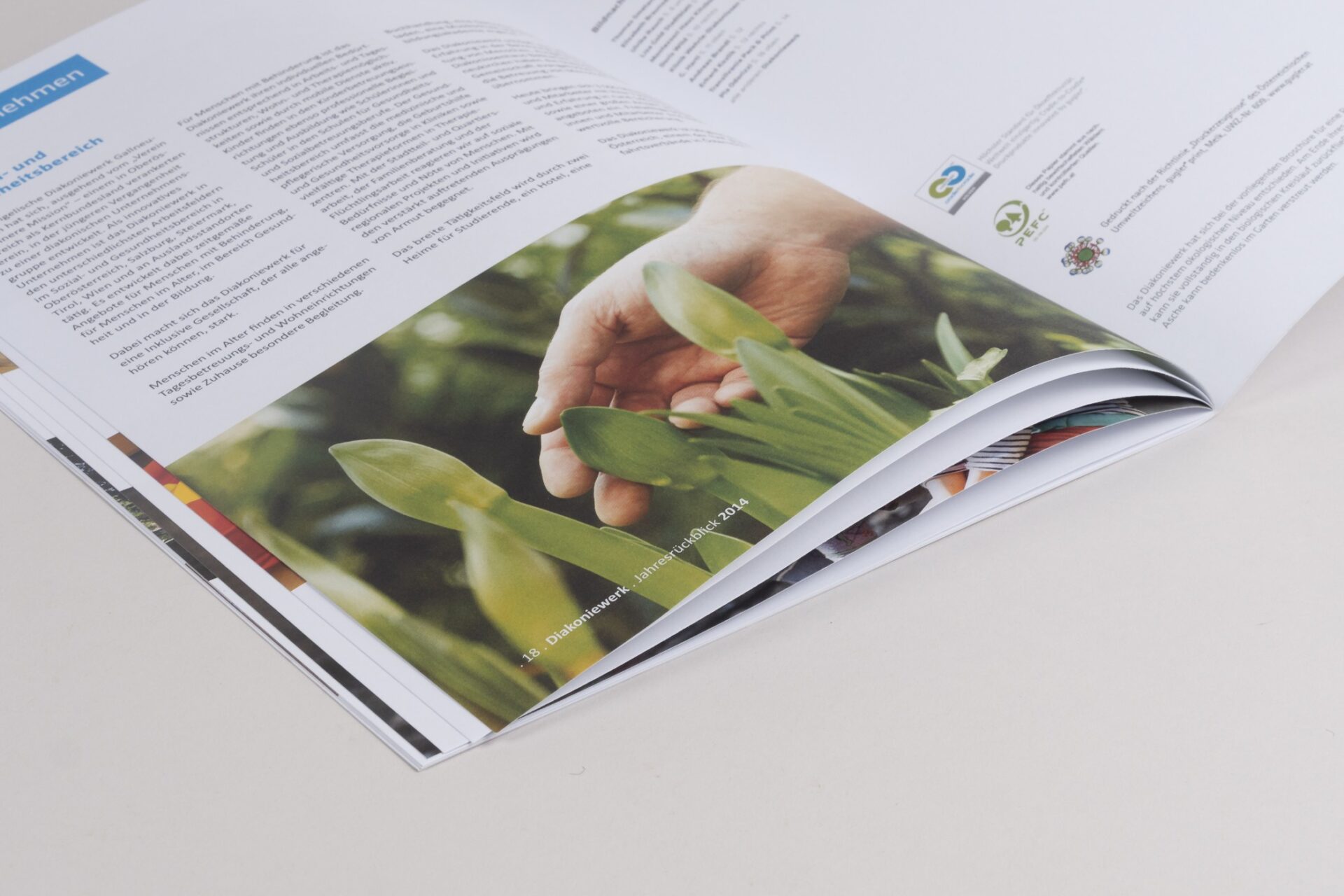 Diakoniewerk - Jahresberichte