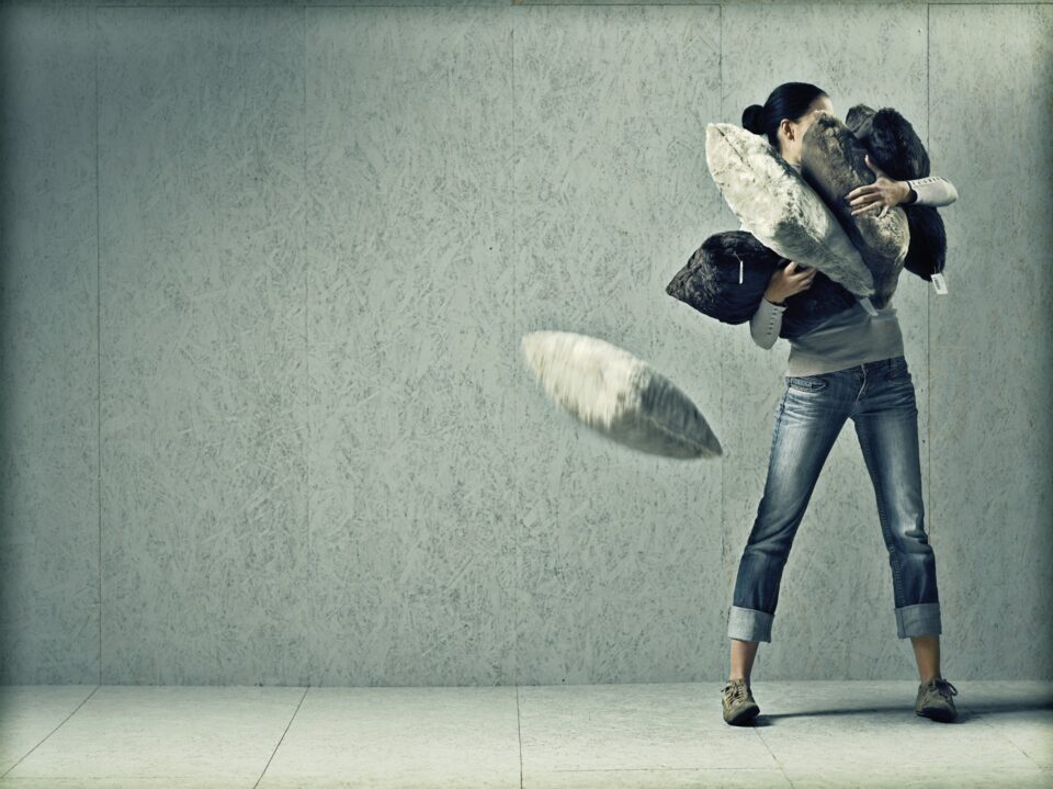 Manzenreiter - Metamorphose