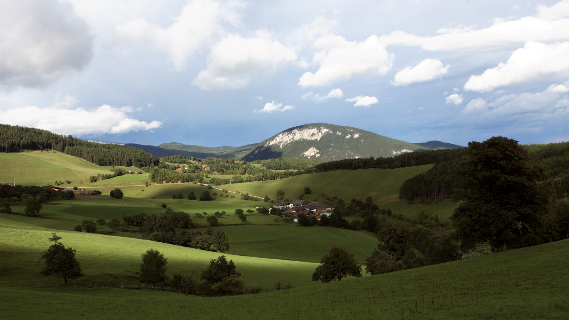 Schneeberg Landschwein - Bild