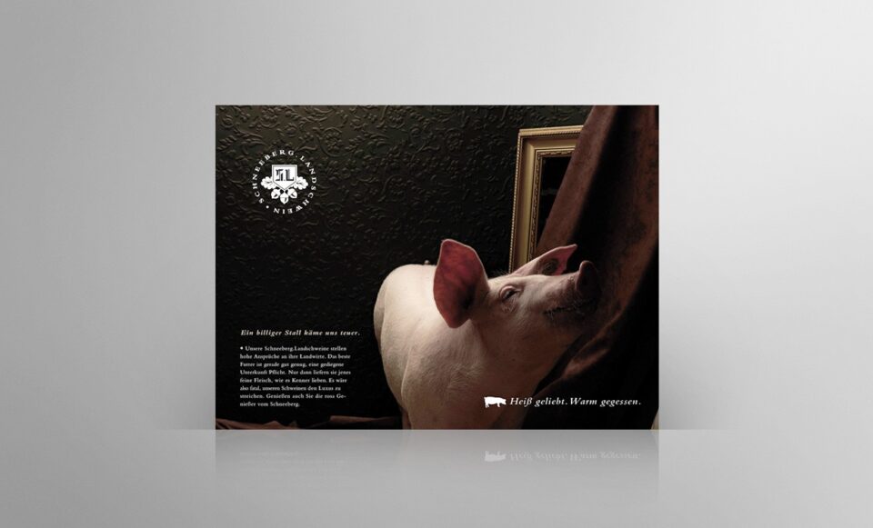 Schneeberg Landschwein - Inserate