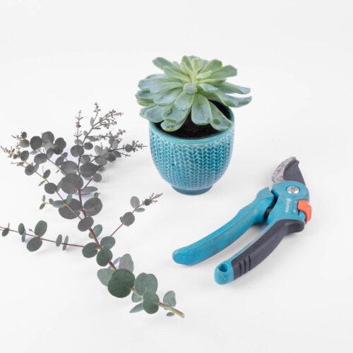 Bild vergrößern - Ihr Garten bedeutet für Katrin Auszeit vom Alltag und Entspannung pur. Und wenn erst ihre Lieblingsblume, die Hortensie blüht, blüht auch Katrin auf. Ihr Garten bedeutet für Katrin Auszeit vom Alltag und Entspannung pur. Und wenn erst ihre Lieblingsblume, die Hortensie blüht, blüht auch Katrin auf.