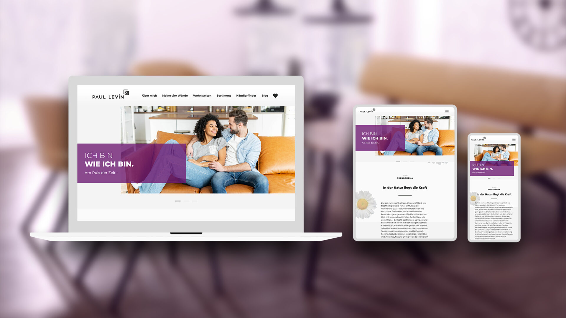 PAUL LEVIN - Website