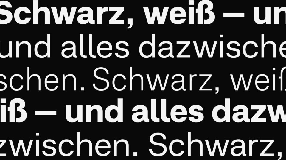 Schriftbeispiel der Schriftfamilie :WANTED Grotesk