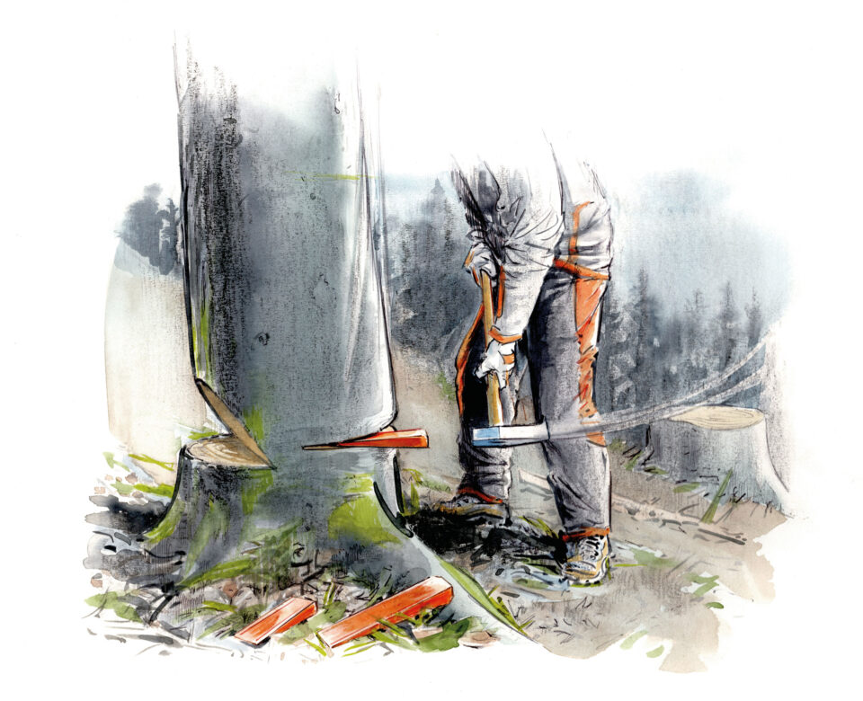 Arbeiter schlägt Keil in Baumstamm zum Fällen - Latschbacher Imagefolder Illustration