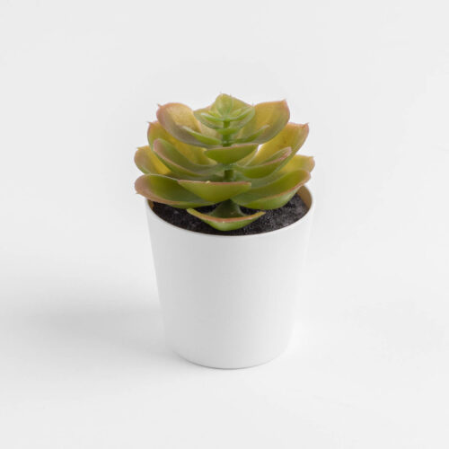 Bild vergrößern - Blumentopf mit Pflanze Blumentopf mit Pflanze