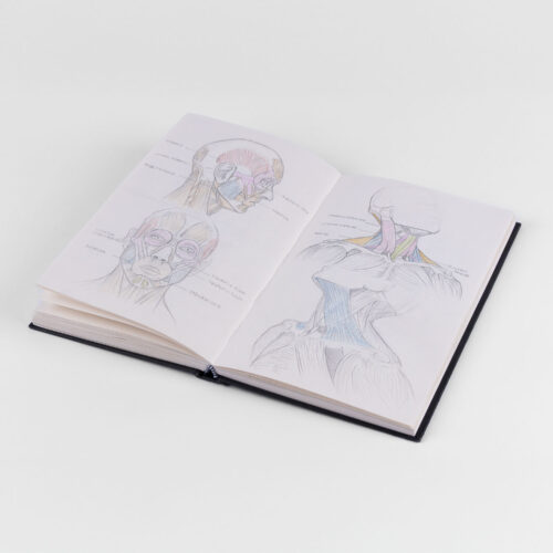 Der Legende nach bekam Tamara als Baby statt einer Rassel einen Stift in die Hand gedrückt, und seitdem zeichnet sie unaufhörlich.